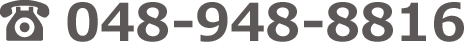 048-948-8816